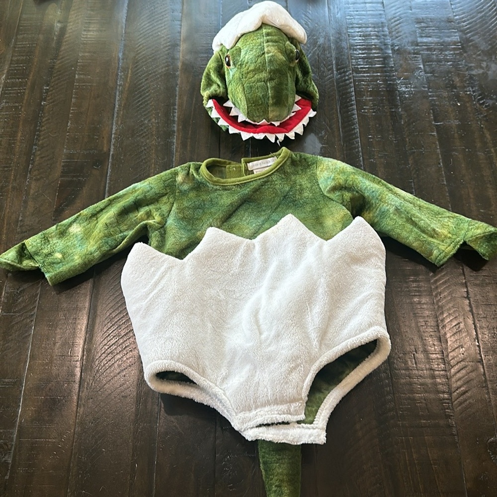 Pottery barn kids Baby Green Dinosaur Egg Halloween Costume